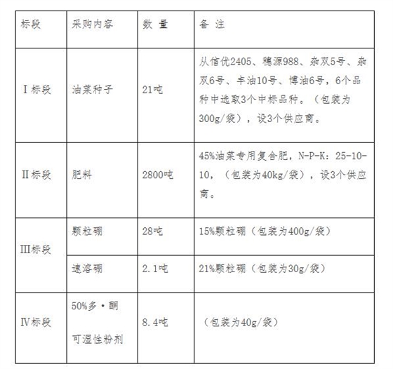 内容及标段设置