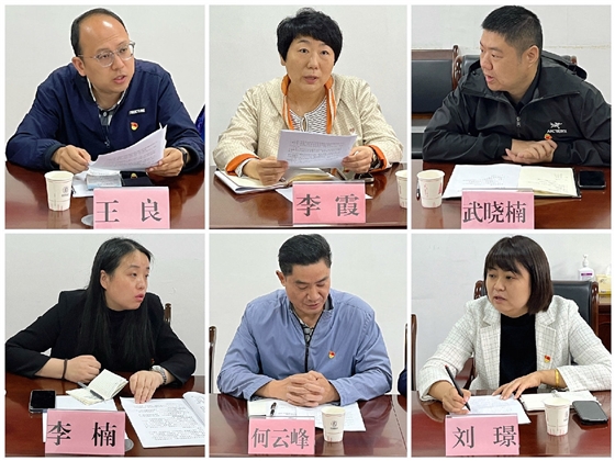 党代表座谈会2.jpg