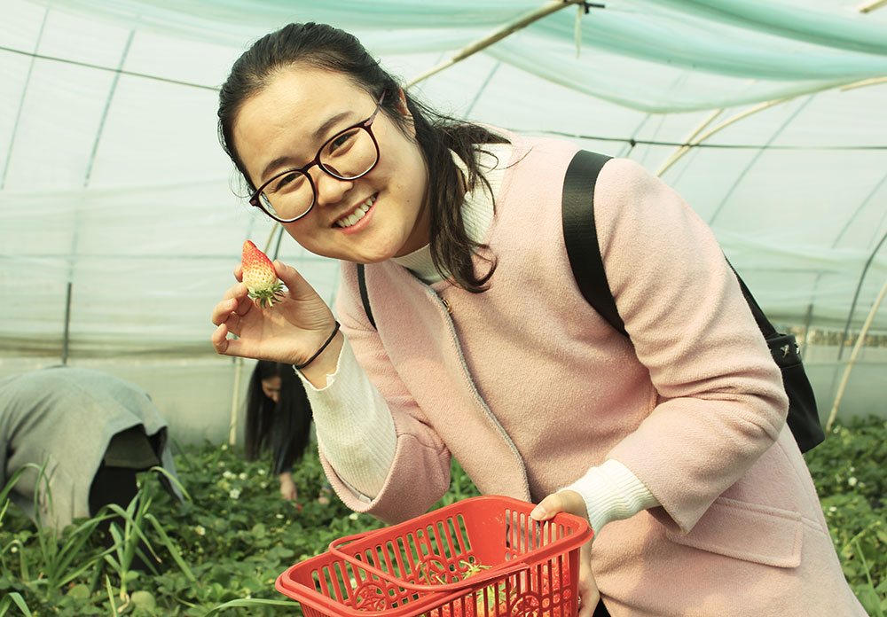 亿诚建设三八妇女节摘草莓