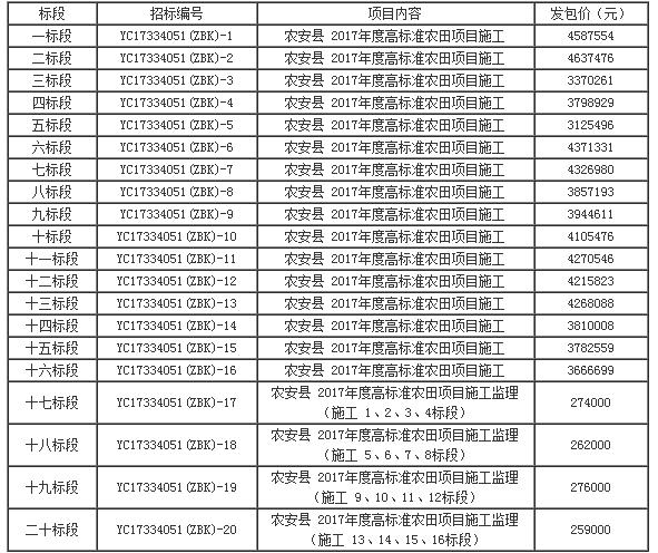 标段划分