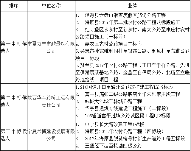 中标候选人在投标文件中填报的项目业绩