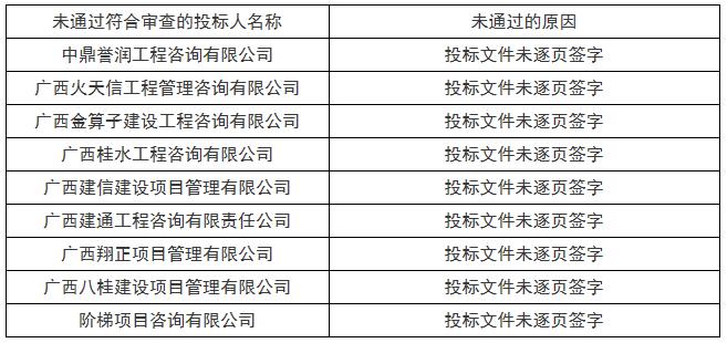 未通过符合审查的投标人情况